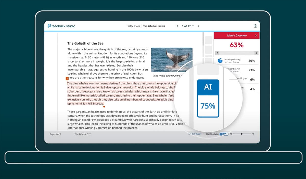 Turnitin vs Grammarly: Turnitin Plagiarsim Checker