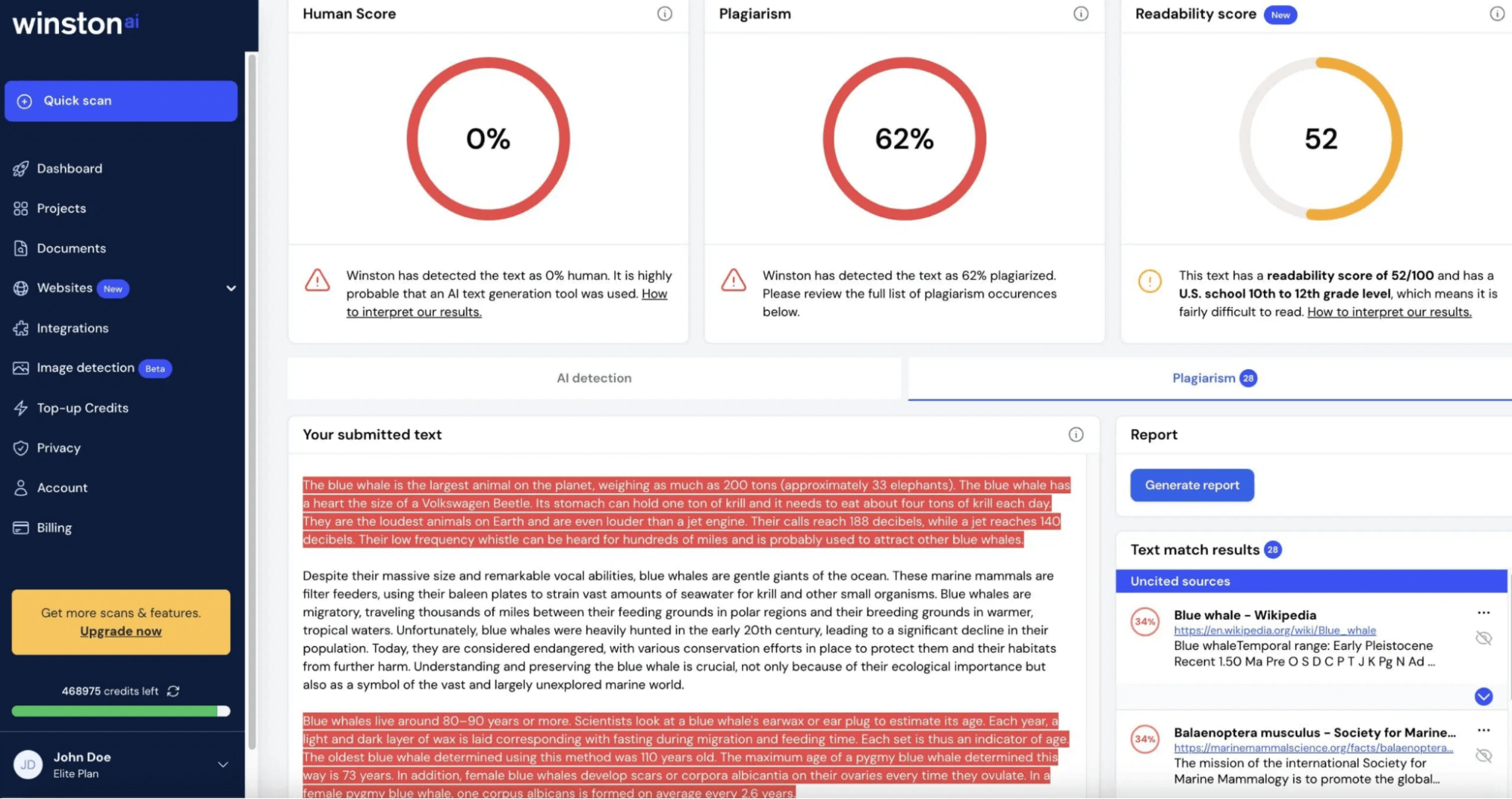 Winston AI Plagiarism Checker (Source: Winston AI)