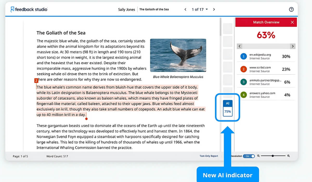 Turnitin AI Detection Interface (Source: University of Lincoln)